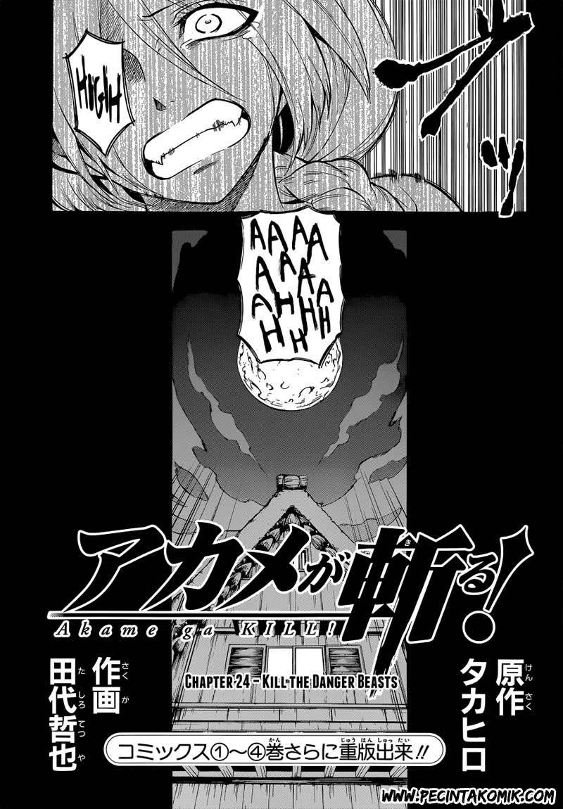 Akame ga KILL! Chapter 24