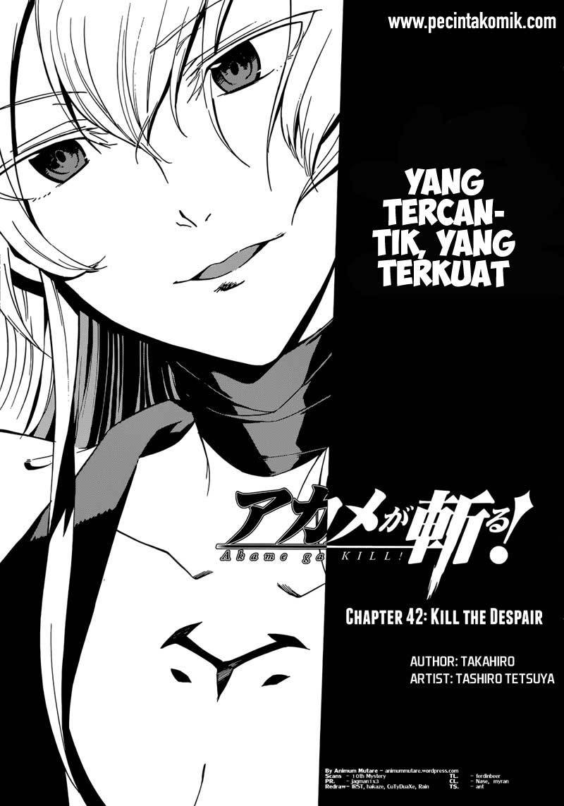 Akame ga KILL! Chapter 43